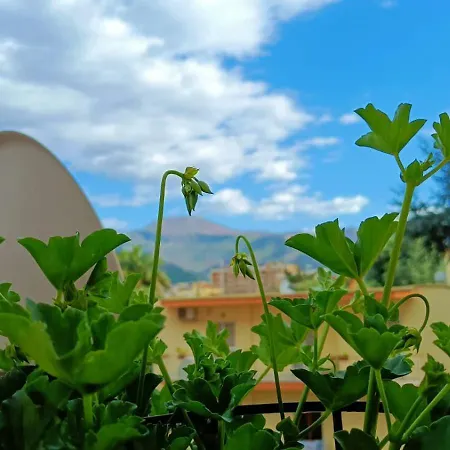 Apartment Pepenero *